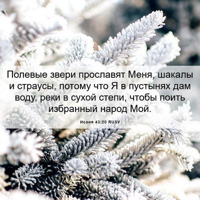 Picture 06 - Исаия 43:20 RUSV - Полевые звери прославят - Bible Verse Picture