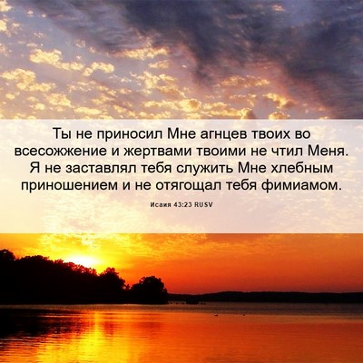 Picture 06 - Исаия 43:23 RUSV - Ты не приносил Мне агнцев - Bible Verse Picture