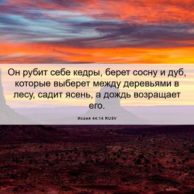 Picture 06 - Исаия 44:14 RUSV - Он рубит себе кедры, берет - Bible Verse Picture