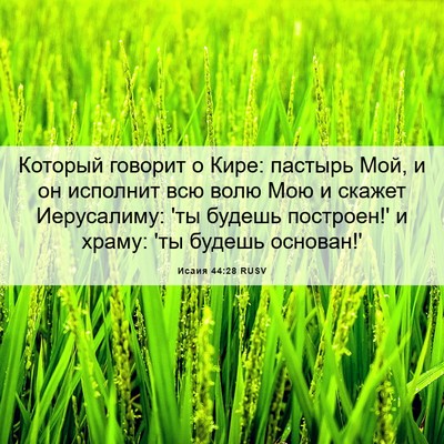 Picture 06 - Исаия 44:28 RUSV - Который говорит о Кире: - Bible Verse Picture