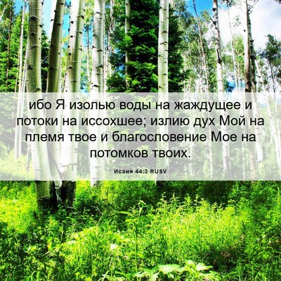 Picture 06 - Исаия 44:3 RUSV - ибо Я изолью воды на - Bible Verse Picture