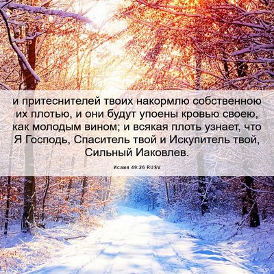 Picture 06 - Исаия 49:26 RUSV - и притеснителей твоих - Bible Verse Picture