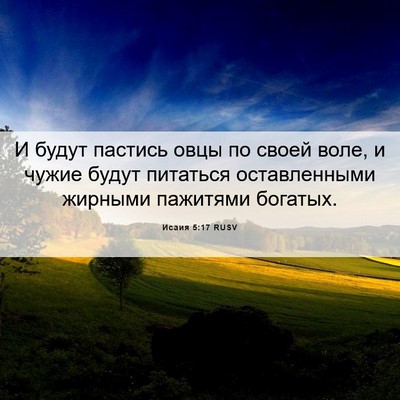 Picture 06 - Исаия 5:17 RUSV - И будут пастись овцы по - Bible Verse Picture