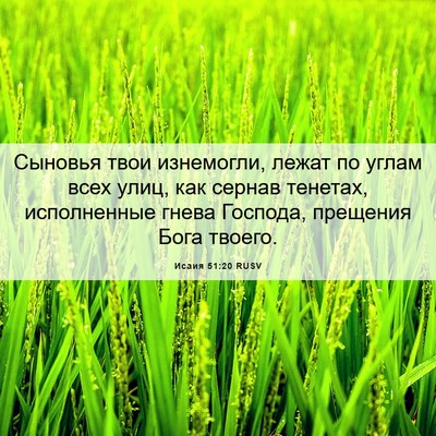Picture 06 - Исаия 51:20 RUSV - Сыновья твои изнемогли, - Bible Verse Picture