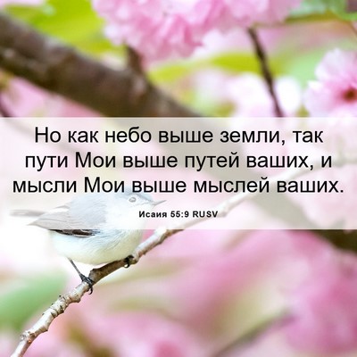 Picture 06 - Исаия 55:9 RUSV - Но как небо выше земли, так - Bible Verse Picture