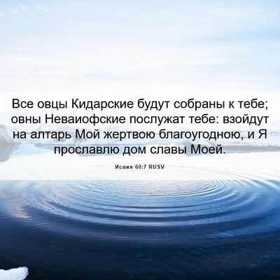 Picture 06 - Исаия 60:7 RUSV - Все овцы Кидарские будут - Bible Verse Picture