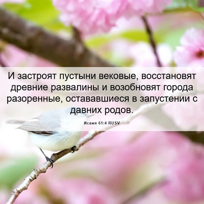 Picture 06 - Исаия 61:4 RUSV - И застроят пустыни - Bible Verse Picture