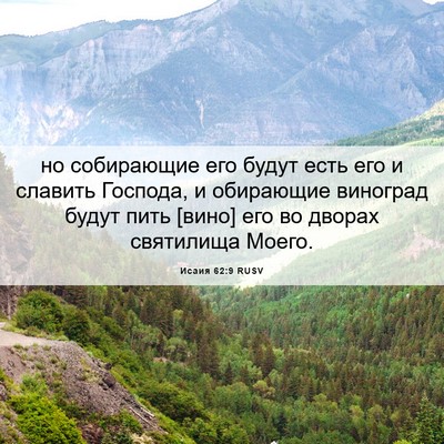 Picture 06 - Исаия 62:9 RUSV - но собирающие его будут - Bible Verse Picture