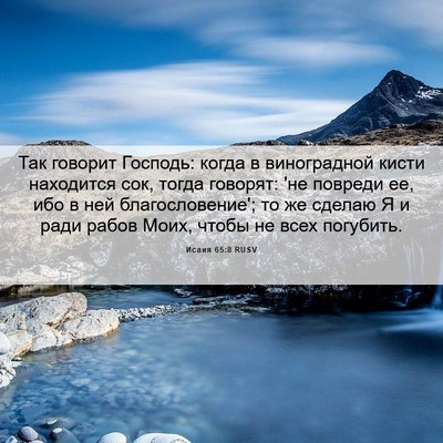 Picture 06 - Исаия 65:8 RUSV - Так говорит Господь: когда - Bible Verse Picture