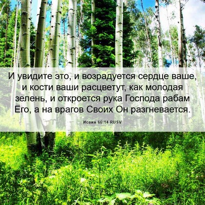 Picture 06 - Исаия 66:14 RUSV - И увидите это, и - Bible Verse Picture