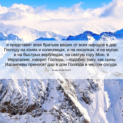 Picture 06 - Исаия 66:20 RUSV - и представят всех братьев - Bible Verse Picture