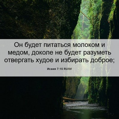 Picture 06 - Исаия 7:15 RUSV - Он будет питаться молоком - Bible Verse Picture