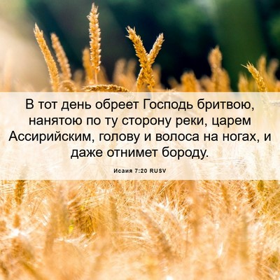 Picture 06 - Исаия 7:20 RUSV - В тот день обреет Господь - Bible Verse Picture