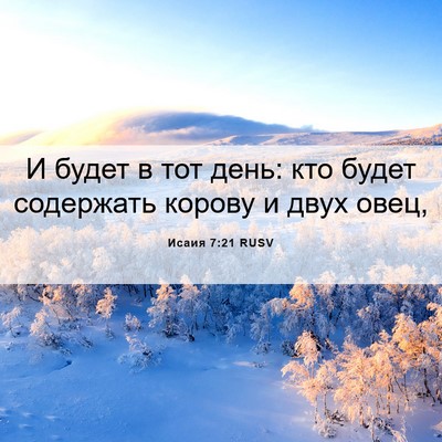 Picture 06 - Исаия 7:21 RUSV - И будет в тот день: кто - Bible Verse Picture