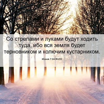Picture 06 - Исаия 7:24 RUSV - Со стрелами и луками будут - Bible Verse Picture