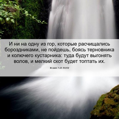Picture 06 - Исаия 7:25 RUSV - И ни на одну из гор, которые - Bible Verse Picture