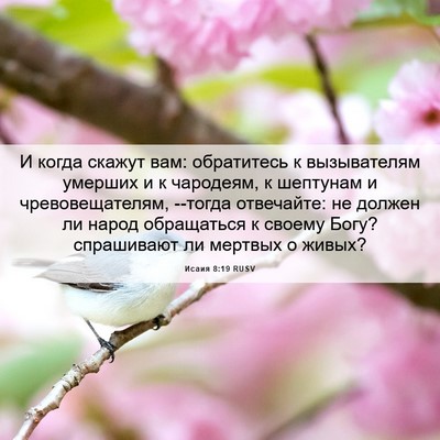 Picture 06 - Исаия 8:19 RUSV - И когда скажут вам: - Bible Verse Picture