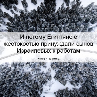 Picture 06 - Исход 1:13 RUSV - И потому Египтяне с - Bible Verse Picture