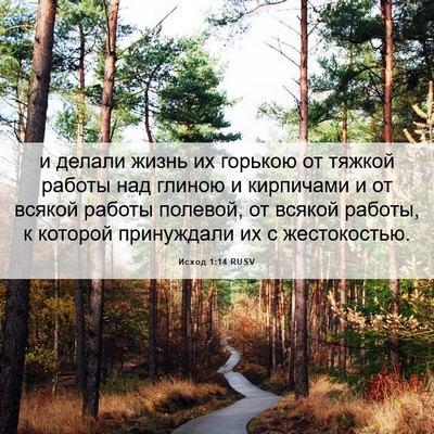 Picture 06 - Исход 1:14 RUSV - и делали жизнь их горькою - Bible Verse Picture