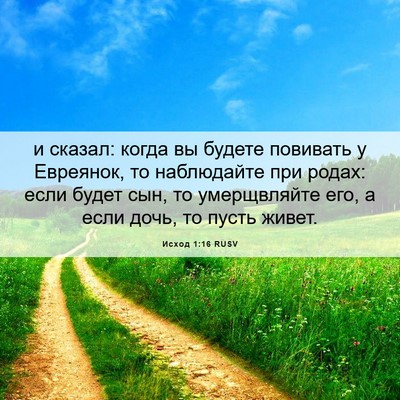 Picture 06 - Исход 1:16 RUSV - и сказал: когда вы будете - Bible Verse Picture