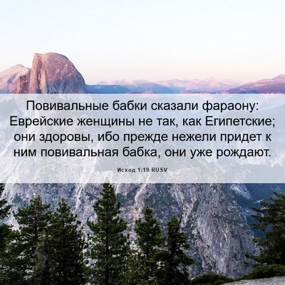 Picture 06 - Исход 1:19 RUSV - Повивальные бабки сказали - Bible Verse Picture