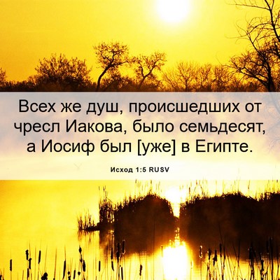 Picture 06 - Исход 1:5 RUSV - Всех же душ, происшедших от - Bible Verse Picture
