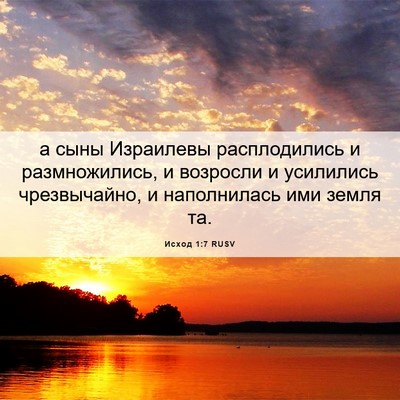 Picture 06 - Исход 1:7 RUSV - а сыны Израилевы - Bible Verse Picture