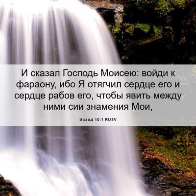 Picture 06 - Исход 10:1 RUSV - И сказал Господь Моисею: - Bible Verse Picture