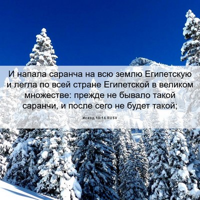 Picture 06 - Исход 10:14 RUSV - И напала саранча на всю - Bible Verse Picture
