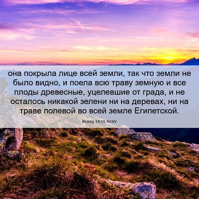 Picture 06 - Исход 10:15 RUSV - она покрыла лице всей - Bible Verse Picture