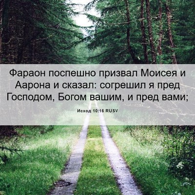 Picture 06 - Исход 10:16 RUSV - Фараон поспешно призвал - Bible Verse Picture