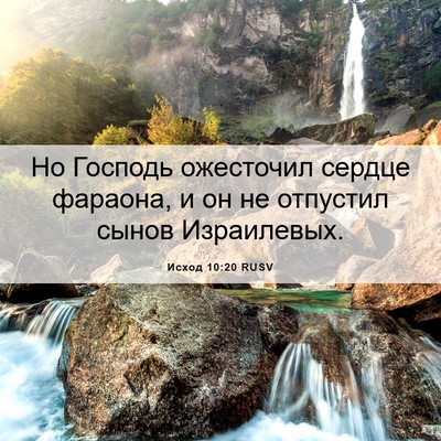Picture 06 - Исход 10:20 RUSV - Но Господь ожесточил - Bible Verse Picture
