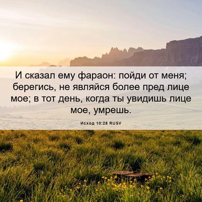 Picture 06 - Исход 10:28 RUSV - И сказал ему фараон: пойди - Bible Verse Picture