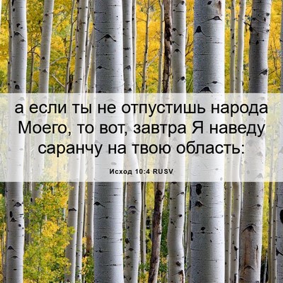 Picture 06 - Исход 10:4 RUSV - а если ты не отпустишь - Bible Verse Picture