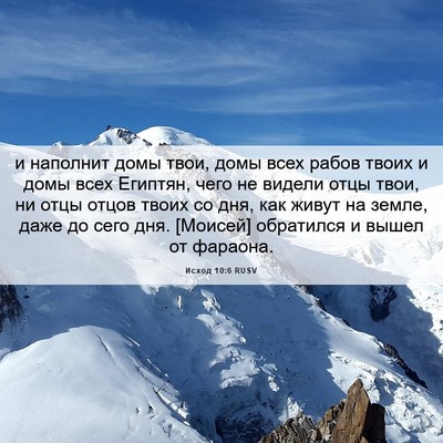 Picture 06 - Исход 10:6 RUSV - и наполнит домы твои, домы - Bible Verse Picture