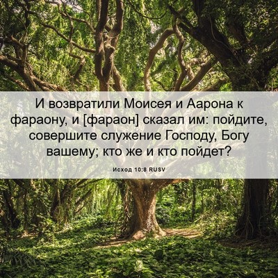 Picture 06 - Исход 10:8 RUSV - И возвратили Моисея и - Bible Verse Picture