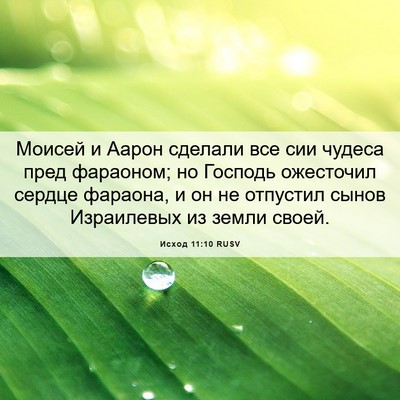 Picture 06 - Исход 11:10 RUSV - Моисей и Аарон сделали все - Bible Verse Picture