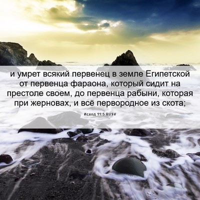 Picture 06 - Исход 11:5 RUSV - и умрет всякий первенец в - Bible Verse Picture