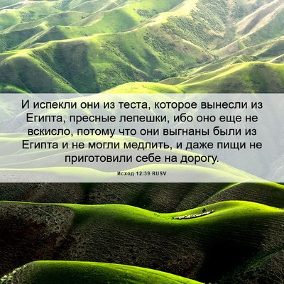 Picture 06 - Исход 12:39 RUSV - И испекли они из теста, - Bible Verse Picture