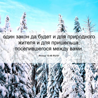 Picture 06 - Исход 12:49 RUSV - один закон да будет и для - Bible Verse Picture