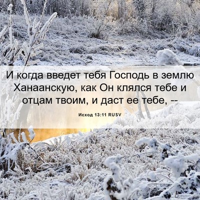 Picture 06 - Исход 13:11 RUSV - И когда введет тебя - Bible Verse Picture