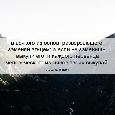Picture 06 - Исход 13:13 RUSV - а всякого из ослов, - Bible Verse Picture
