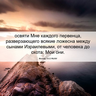 Picture 06 - Исход 13:2 RUSV - освяти Мне каждого - Bible Verse Picture