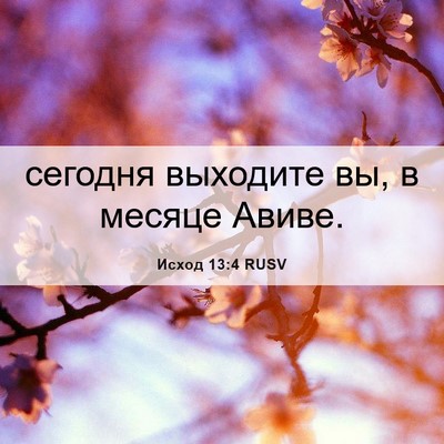 Picture 06 - Исход 13:4 RUSV - сегодня выходите вы, в - Bible Verse Picture