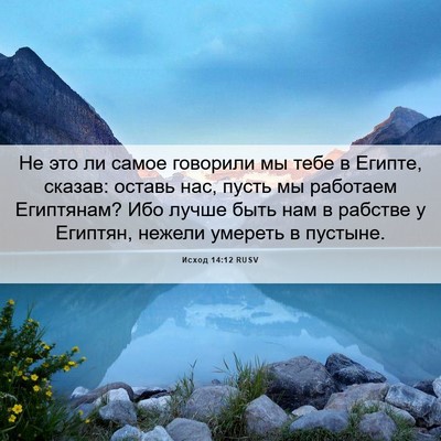 Picture 06 - Исход 14:12 RUSV - Не это ли самое говорили мы - Bible Verse Picture