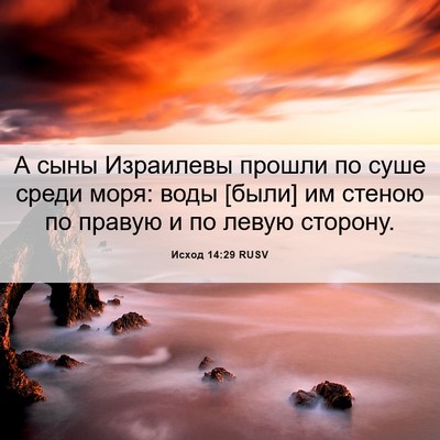 Picture 06 - Исход 14:29 RUSV - А сыны Израилевы прошли по - Bible Verse Picture