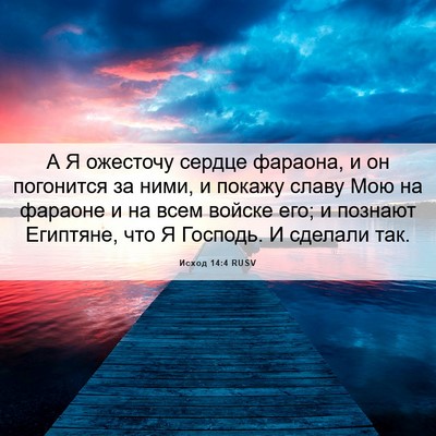 Picture 06 - Исход 14:4 RUSV - А Я ожесточу сердце - Bible Verse Picture