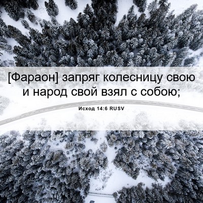 Picture 06 - Исход 14:6 RUSV - [Фараон] запряг колесницу - Bible Verse Picture