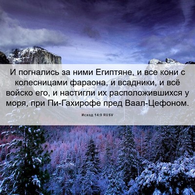 Picture 06 - Исход 14:9 RUSV - И погнались за ними - Bible Verse Picture