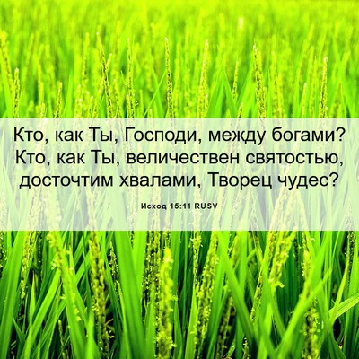 Picture 06 - Исход 15:11 RUSV - Кто, как Ты, Господи, между - Bible Verse Picture